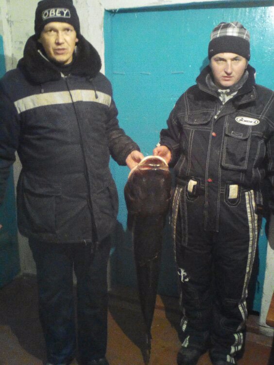 На Волині спіймали гігантського товстолоба. ФОТО