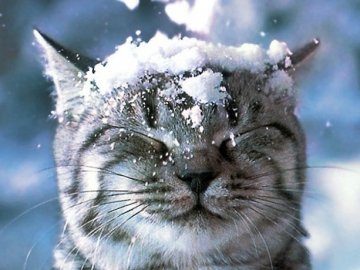 Погода в Луцьку та Волинській області на завтра, 22 грудня