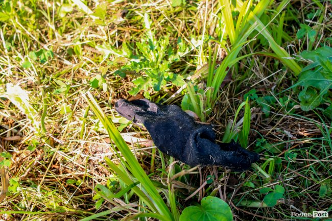 Ранок після фестивалю «Бандерштат». ФОТО