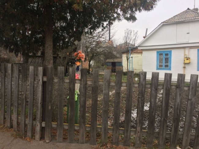 На Волині стоїть хрест, до якого приїжджають молитися за народження дитини. ФОТО
