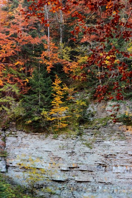Краса осінніх Карпат в об'єктиві лучанки. ФОТО