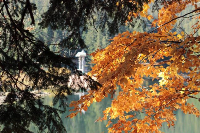 Краса осінніх Карпат в об'єктиві лучанки. ФОТО