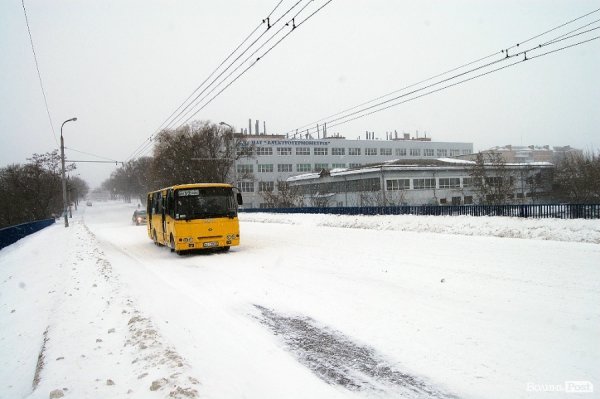 Як Луцьк замело снігом. ФОТО