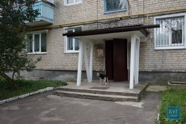 В квартирі мешканця Нововолинська знайшли наркотики та зброю. ФОТО