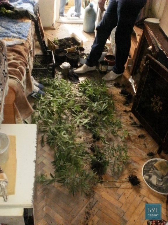 В квартирі мешканця Нововолинська знайшли наркотики та зброю. ФОТО