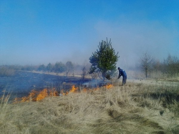 На Волині тривають рейдові перевірки для запобігання спалювання сухої трави. ФОТО