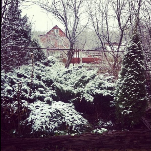 У Москві – перший сніг. ФОТО