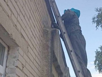 У волинському місті в дитсадку знешкодили гніздо шершнів