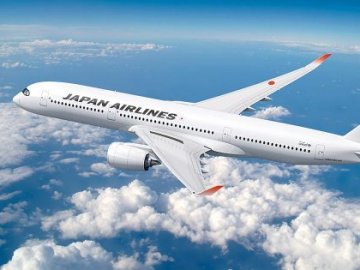 У Токіо не зміг злетіти літак із борцями сумо