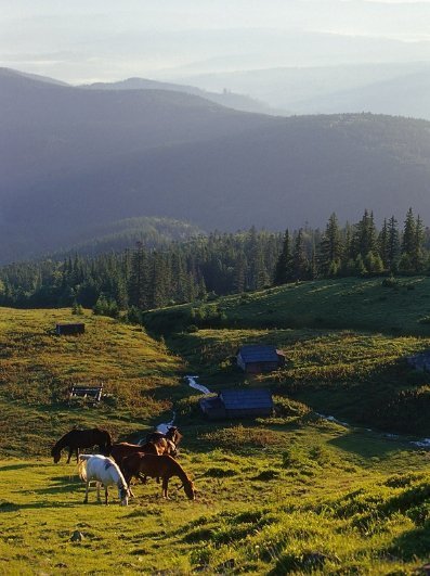 Фотовиставка Тараса Цибуха