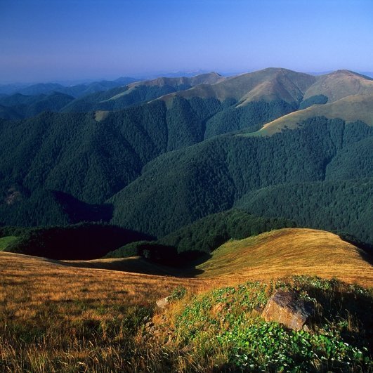 Фотовиставка Тараса Цибуха