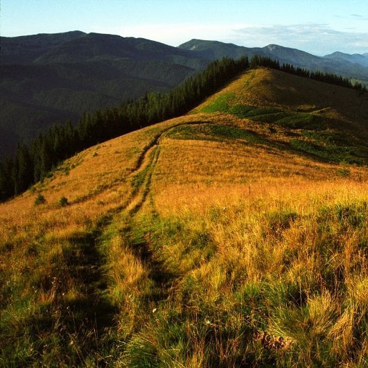 Фотовиставка Тараса Цибуха