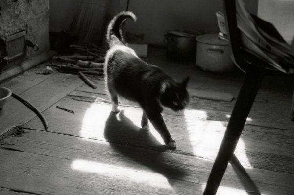 Фотовиставка Тараса Цибуха