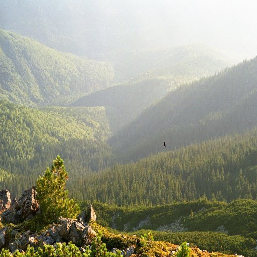 Фотовиставка Тараса Цибуха