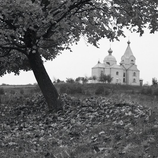 Фотовиставка Тараса Цибуха