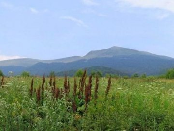 На Волині і Львівщині хочуть створити заповідник під егідою ЮНЕСКО