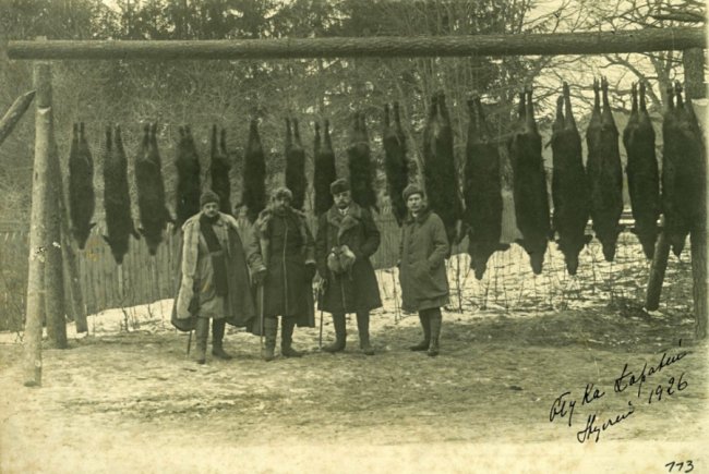 Як поблизу Олики полювали століття тому. РЕТРОФОТО