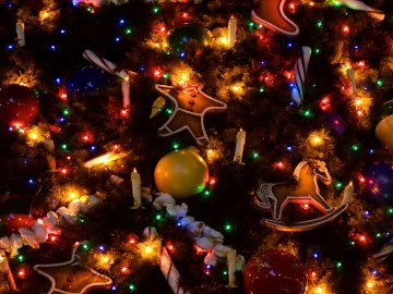 Новорічні гірлянди за майже 200 тисяч гривень для Луцька придбали у дружини депутата міськради