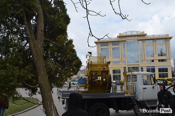 У центрі Луцька різали дерева. ФОТО