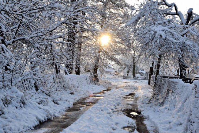 Калинові кетяги і заметені дерева: чудові фото снігопаду на Волині