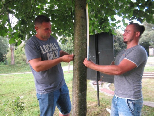 Не смітити: у місті на Волині з'явились оригінальні таблички. ФОТО