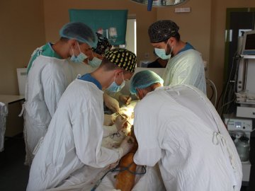 Волинські лікарі врятували пацієнта із гангреною. ФОТО