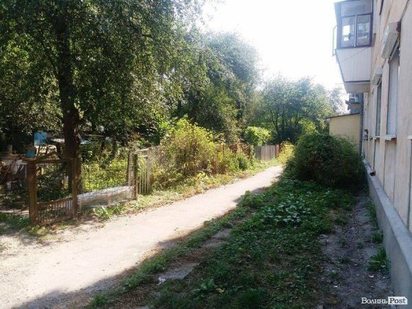 У Привокзальному мікрорайоні Луцька зламають хліви, які простояли 25 років. ФОТО
