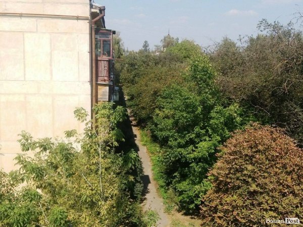 У Привокзальному мікрорайоні Луцька зламають хліви, які простояли 25 років. ФОТО