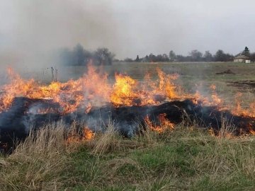 Двох волинян оштрафували за спалювання сухої рослинності