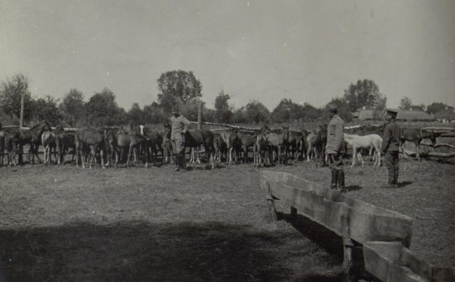 Як виглядав Ковель в роки Першої світової війни. РЕТРОФОТО