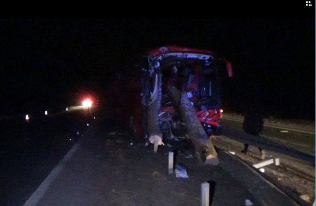 Жахлива аварія на Житомирщині: колоди з лісовозу влетіли у автобус з пасажирами  