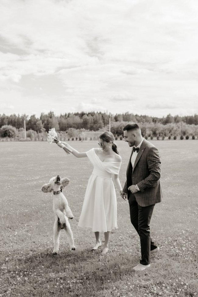 Липневий «весільний бум» на Волині: за місяць одружилися 626 закоханих пар. ФОТО