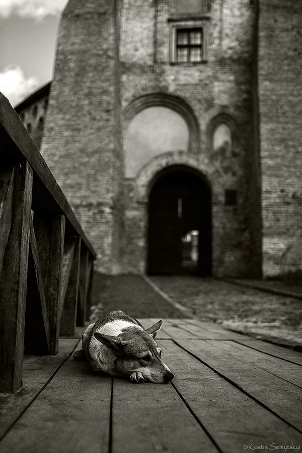 Фотовиставка Костянтина Семицького