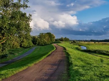 В Україні помітно похолоднішає: де пройдуть зливи