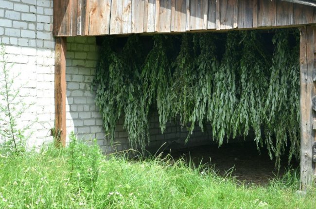 У Шацькому нацпарку до зимової підгодівлі тварин готуються ще влітку. ФОТО