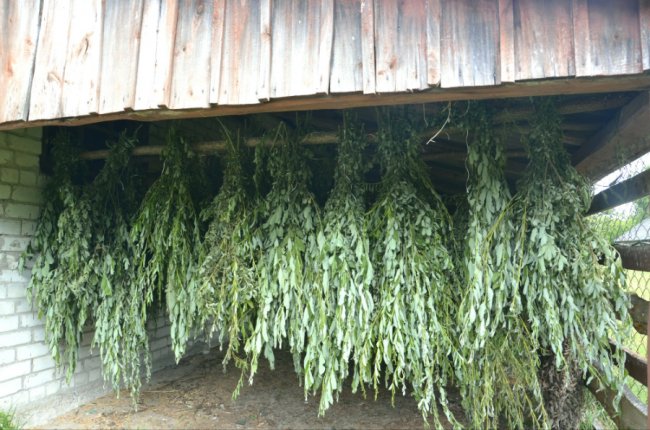 У Шацькому нацпарку до зимової підгодівлі тварин готуються ще влітку. ФОТО