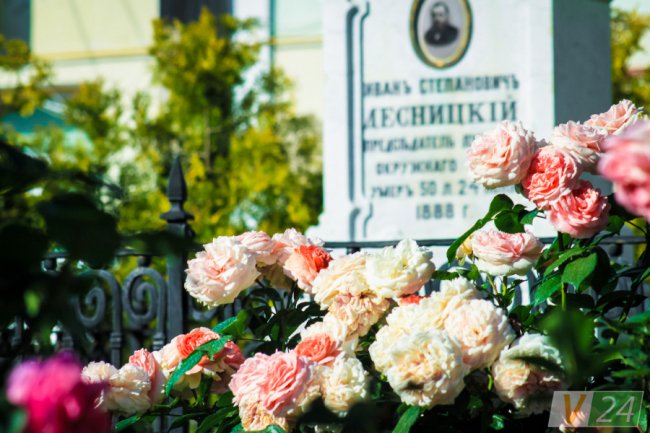 Рожеві, білі і червоні: у центрі Луцька зацвів трояндовий сад