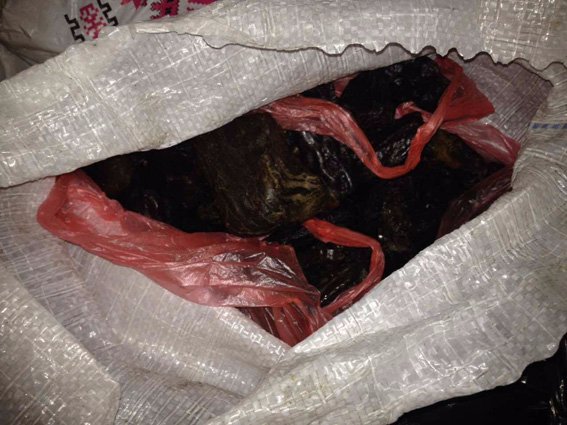 На Рівненщині затримали волинянина з бурштином