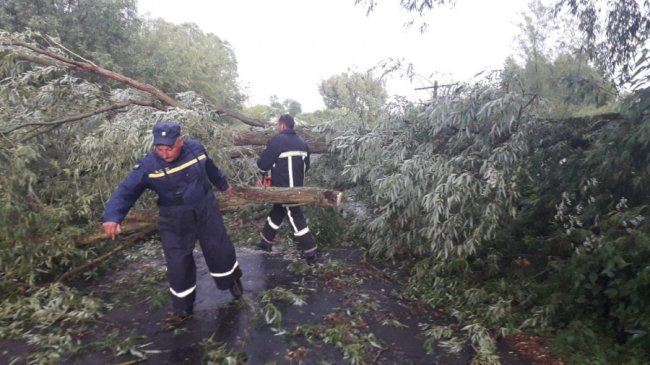 На Волині рятувальники з бензопилами боролись із негодою. ФОТО