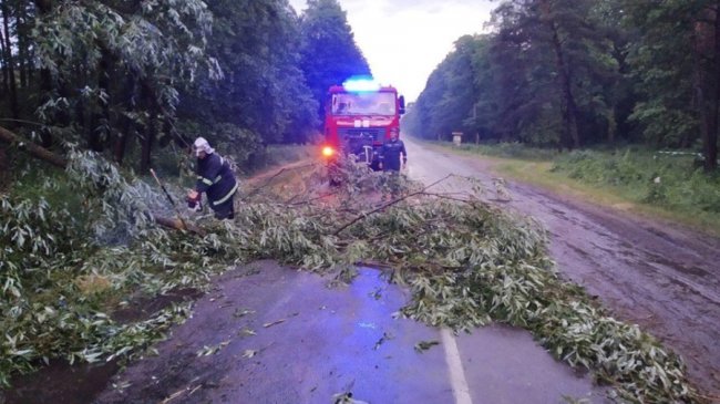 На Волині рятувальники з бензопилами боролись із негодою. ФОТО