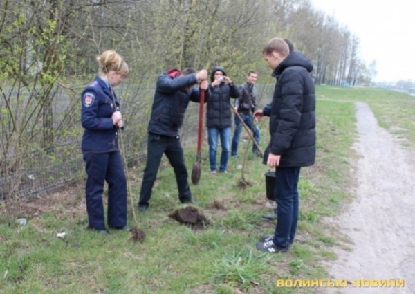 На Волині висадили алею Небесної сотні. ФОТО