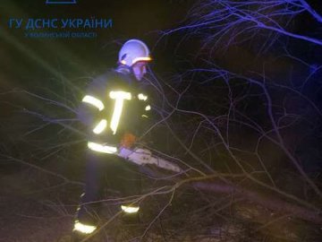 На Волині дерево впало на дорогу й перекрило рух транспорту