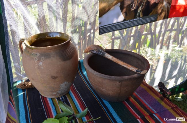 «Наша слава – з ворогом розправа»: у Луцьку – фестиваль повстанської пісні