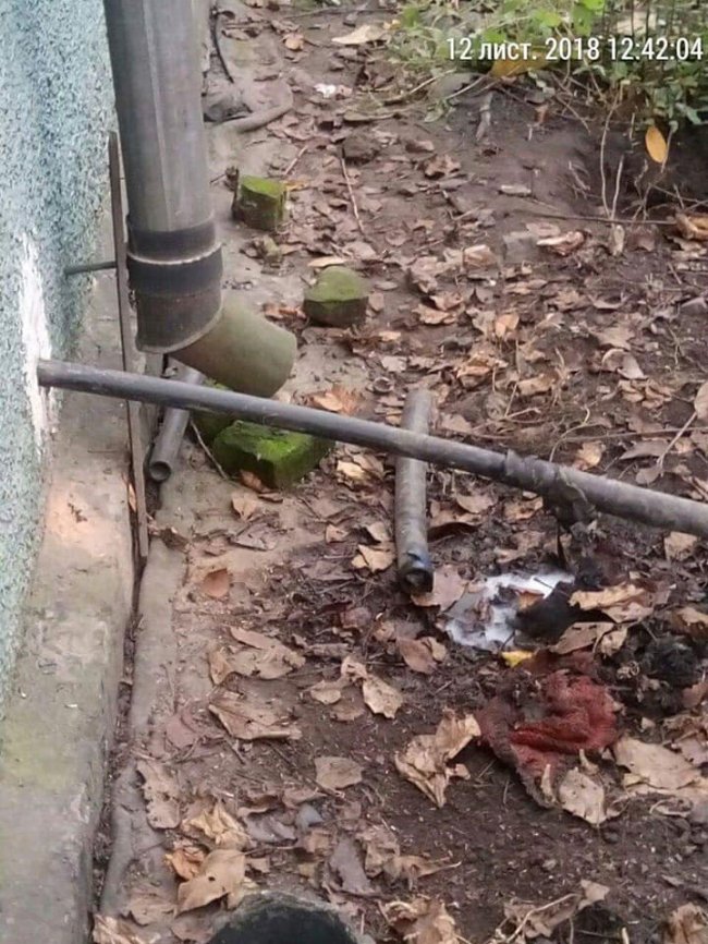 У Луцьку зловили мешканців, які зливали нечистоти на дорогу