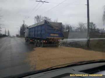 У Луцьку водій вантажівки посеред дороги згубив майже 20 тонн жому і втік. ФОТО