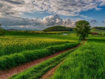 В Україні відчутно похолодає