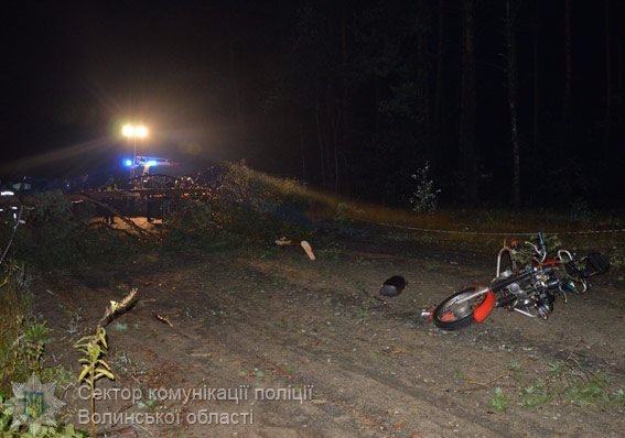 На Волині мотоцикл врізався в повалене дерево: подробиці смертельної аварії