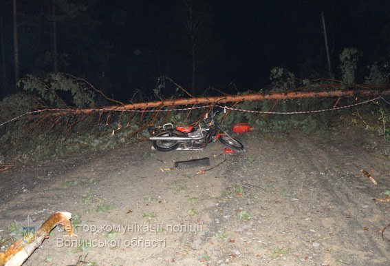 На Волині мотоцикл врізався в повалене дерево: подробиці смертельної аварії