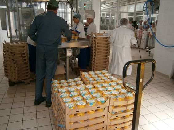  Дітям показали «Ковельмолоко» зсередини. ФОТО