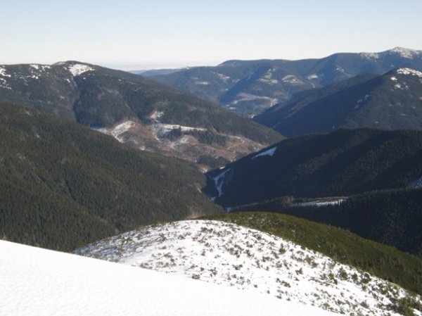 У мережі показали шокуючі масштаби знищення лісу в Карпатах